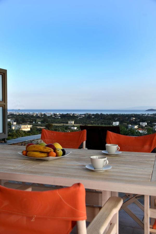Ελιάδες - Eliades Apartments Kárystos Eksteriør bilde
